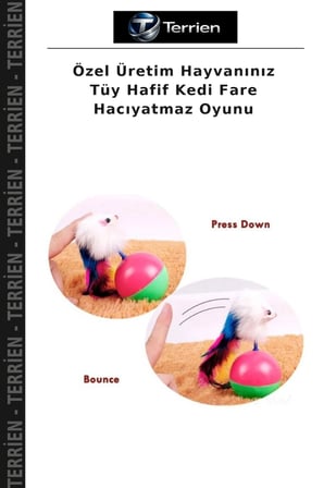 Özel Üretim Hayvanınız Tüy Hafif Kedi Fare Hacıyatmaz Oyunu
