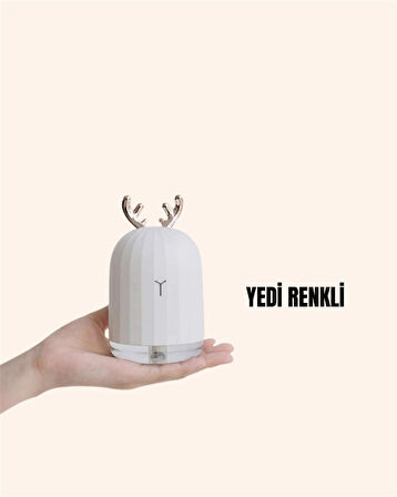 ABS+PP Malzemeli Taşınabilir 220?ml USB Mist Nemlendirici