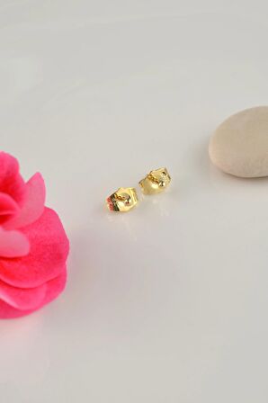 Gold Top Küpe 2 mm