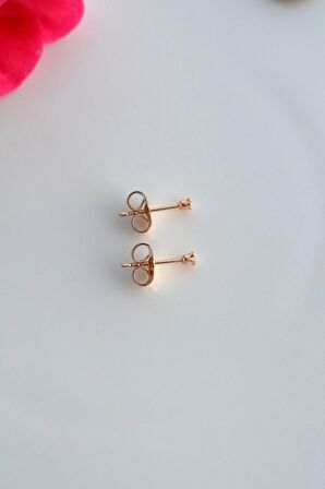 Zirkon Taşlı 2 mm Tektaş Küpe