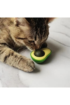 Avokado Model Yapışkanlı Kedi Oyuncağı Yenilebilir Kedi Nanesi Otu
