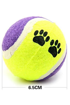 3lü Renkli Desenli Tenis Topu Kedi Köpek Oyuncağı