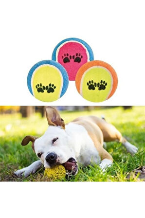 3lü Renkli Desenli Tenis Topu Kedi Köpek Oyuncağı