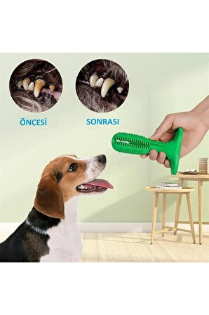 Köpek Diş Temizleyici ve Kaşıyıcı Sağlıklı Küçük Boy Oyuncak