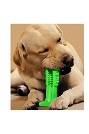 Köpek Diş Temizleyici ve Kaşıyıcı Sağlıklı Küçük Boy Oyuncak