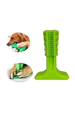 Köpek Diş Temizleyici ve Kaşıyıcı Sağlıklı Küçük Boy Oyuncak