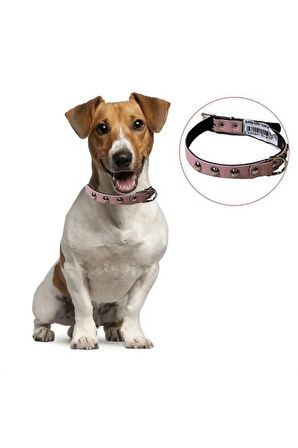 Yumuşak Dokulu Deri Köpek Gezdirme Boyun Tasması Medium