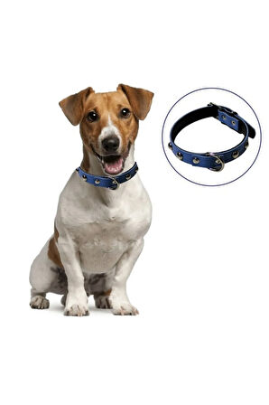 Yumuşak Dokulu Deri Köpek Gezdirme Boyun Tasması (Large) LXSHP 1055529