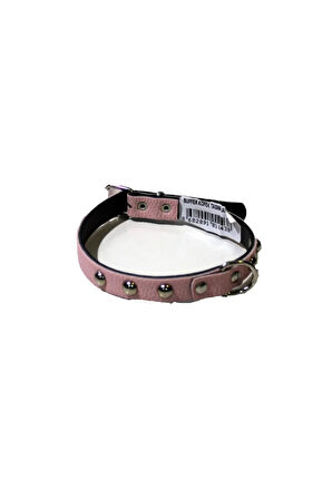 Yumuşak Dokulu Deri Köpek Gezdirme Boyun Tasması (Large) LXSHP 1055529