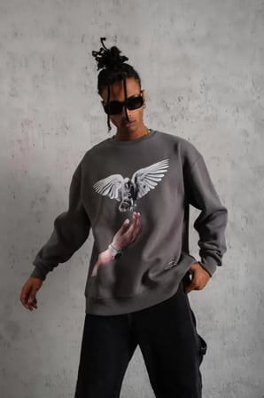 Erkek Gri Güvercin Baskılı Sweatshirt