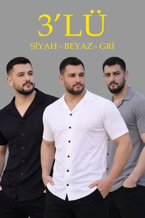 Erkek Waffle Dokuma Açık Yakalı Düğmeli Regular Kalıp 3'lü Gömlek Seti