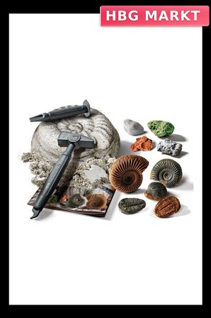 Mey İthalat® 64336 Bilim ve Oyun - Fosiller ve Mineraller Kazı Seti