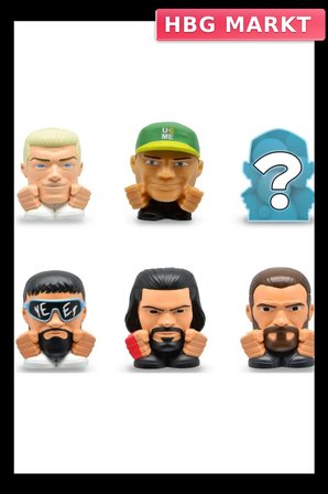 WWE Serisi 1 Sürpriz Paket Eğitici Oyuncak
