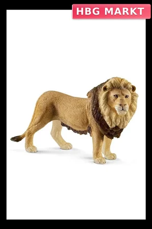 Mey İthalat® Erkek Aslan