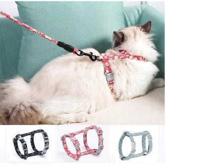 Kedi Gezdirme Göğüs Tasması