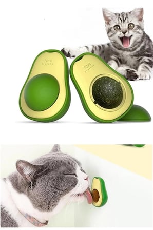 Avokado Kedi Nanesi Oyun Topu