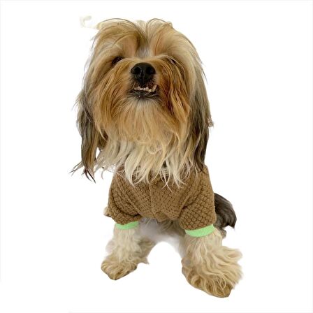 Trio Flower Brown Köpek Tulumu Köpek Kıyafeti