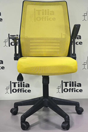 Trendy Çalışma Koltuğu