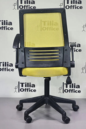 Trendy Çalışma Koltuğu