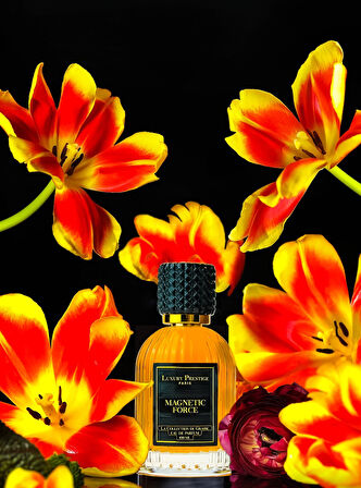 Luxury Prestige Grasse Magnetic Force Unisex Parfüm 100ML EDP