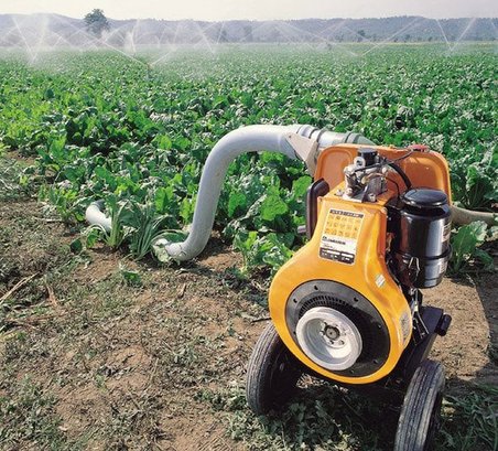 Antrac 4LD820 LY3 Dizel Marşlı Su Motoru 17Hp 4''