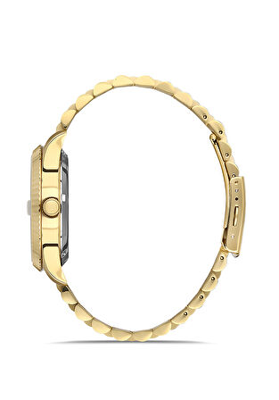 Momentus Gold Çelik Kordon Erkek Kol Saati TM347G-08SG