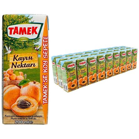 Tamek Kayısı Nektarı 200 Ml X 27 Adet