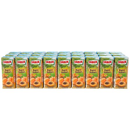 Tamek Kayısı Nektarı 200 Ml X 27 Adet