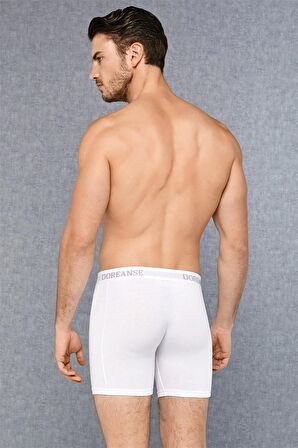 Erkek Modal Çizgili Normal Paça Boxer 1780