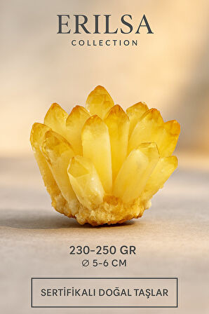 Sertifikalı Sitrin Taşı Dikenli Kristal Küme – Bereket ve Bolluk Getiren Doğal Taş Süs Parçası