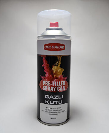 Ford Rötüş Boyası - Moondust Silver - Aytozu Gri (2431) - Sprey (400ml)