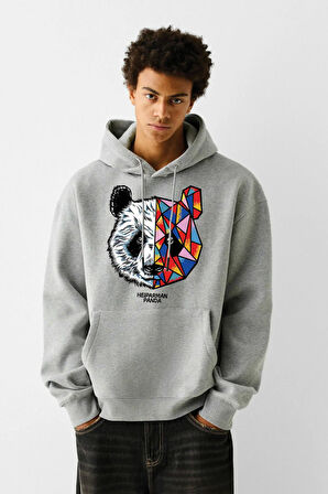 Baskılı Kapşonlu Sweatshirt FM1.130GÖ