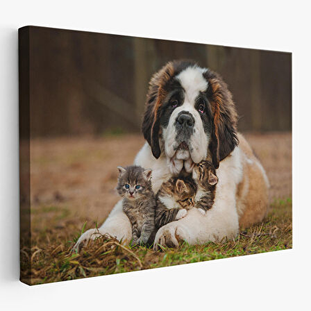 St. Bernard  Köpek ve Yavru Kediler Dekoratif Kanvas Tablo 1124