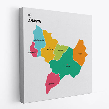 Amasya  İli ve İlçeler Haritası  Dekoratif Kanvas Tablo 1263