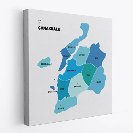 Çanakkale  İli ve İlçeler Haritası  Dekoratif Kanvas Tablo 1311