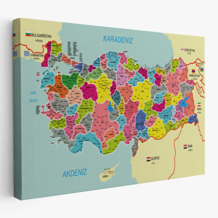 Türkiye Haritası Kanvas Tablo İl ve İlçeli Ayrıntılı Eğitici  Komşulu Tablo 2996