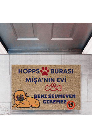 Kapı Önü Paspası Dekoratif Dijital Baskı Hopps  P-2475