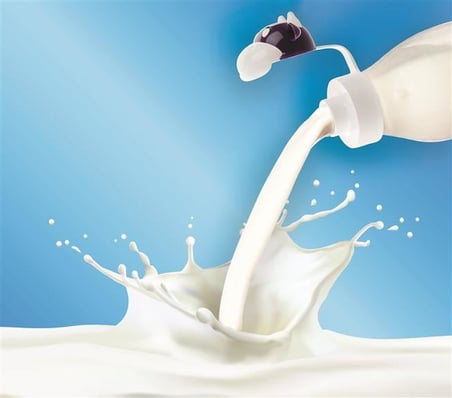 İnek Tasarımlı Sevimli Cam Suluk - Süt Şişesi 1000 ML