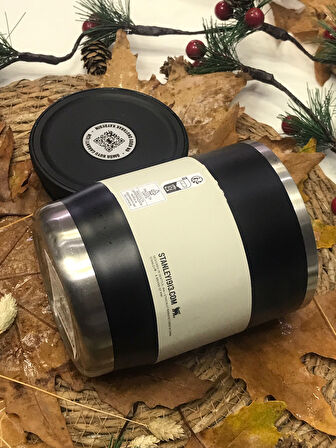 Nakliye Hasarlı Stanley Yemek Termosu 0,53l