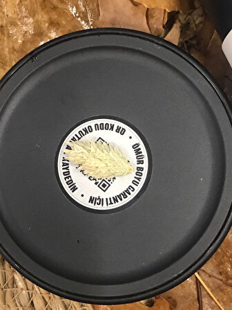 Nakliye Hasarlı Stanley Yemek Termosu 0,53l