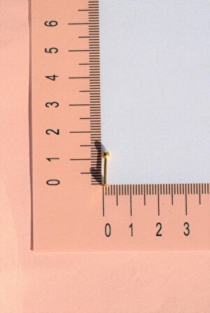 Top Uçlu Çelik Piercing Dudak Dil 10 mm Gold