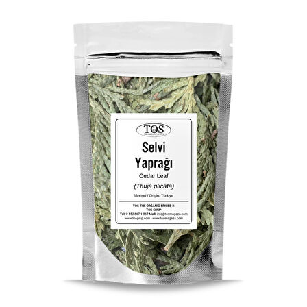 Selvi Yaprağı 100 gr (1. Kalite) Thuja plicata