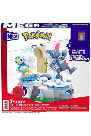 Pokemon Kış Diyarı Macerası