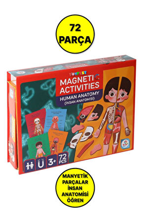 Manyetik Eğitici İnsan Anatomisi İnsan Vücudu Aktivite Oyun Seti - 72 Parça