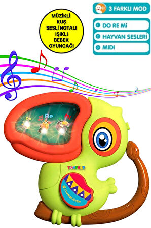 Kuş Sesleri Çıkaran Işıklı Notalı Ninnili Müzikli Ağackakan İnteraktif Bebek Eğitici Tuşlu Oyuncak