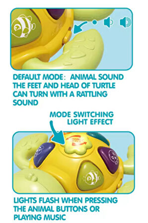 Deniz Canlıları Sesi Çıkaran Işıklı Müzikli Kaplumbağa İnteraktif Bebek Eğitici Tuşlu Oyuncak Yeşil