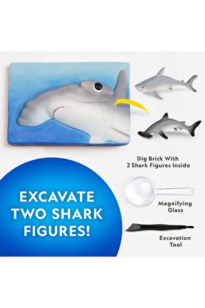 Natgeo Köpek Balığı Bulma Kiti