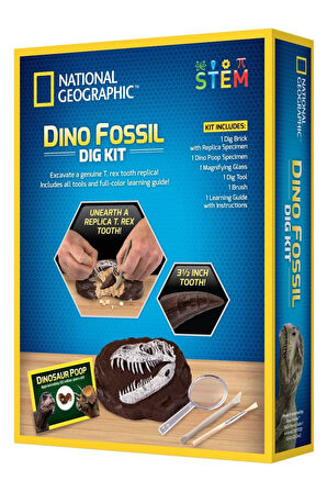 Natgeo Dino Kazı Kiti