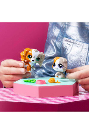 LPS Miniş 2’li Figür Seti Seri 3 No:153-152 Spanyel Köpek ve Scottis Fold Longhair Kedi