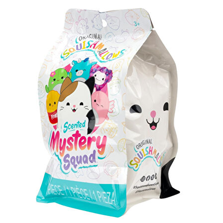 2 ADET Sürpriz Kokulu Squishmallows Mystery Squad Meyve Temalı Sürpriz Paket - 2 ADET - 13 CM